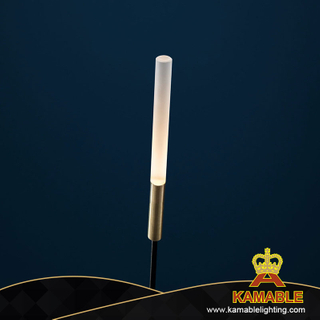 مصباح أرضي للحديقة مصنوع من النحاس LED من المعدن الأكريليكي للحديقة (KIH-95F)
